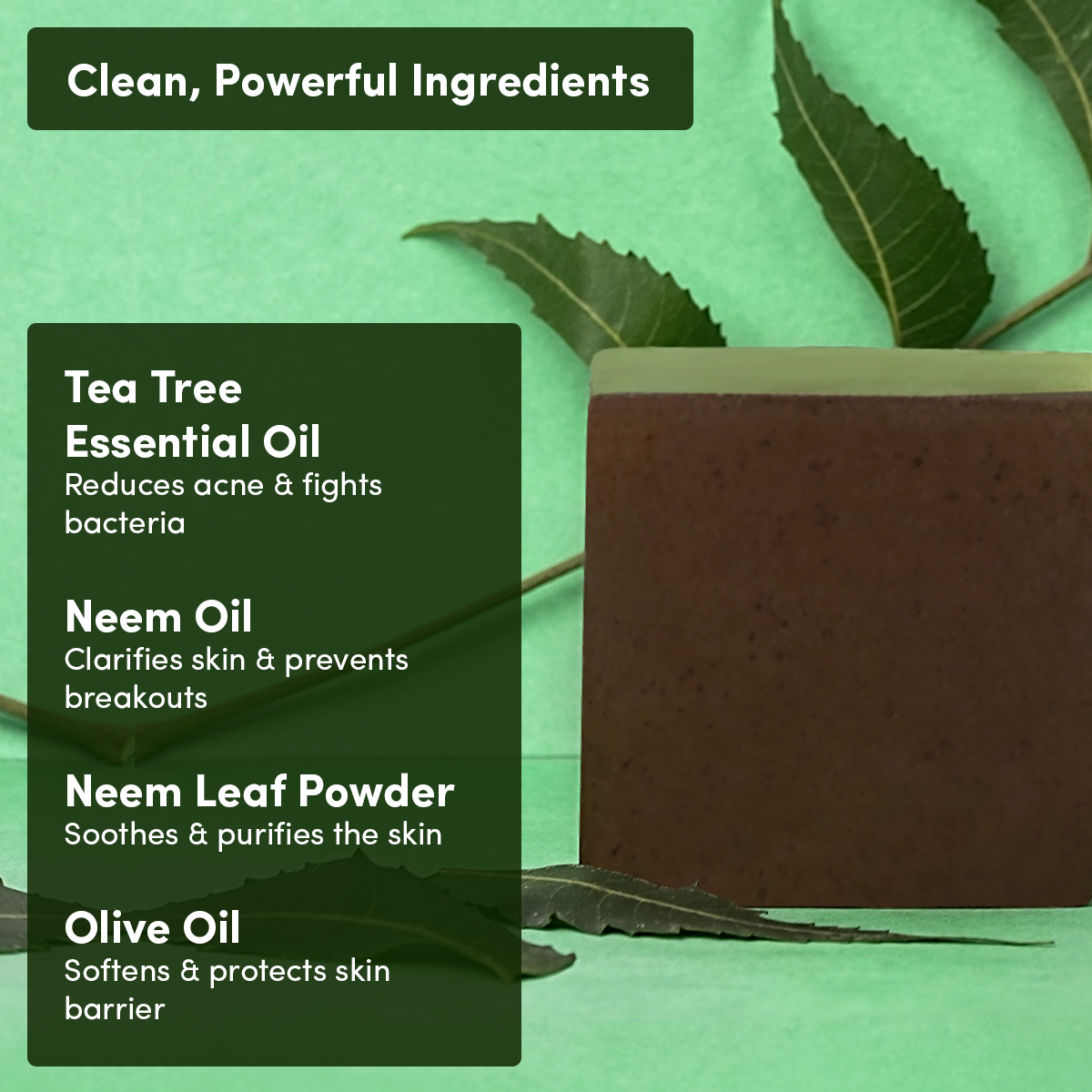 Neem & Tea Tree Oil Soap