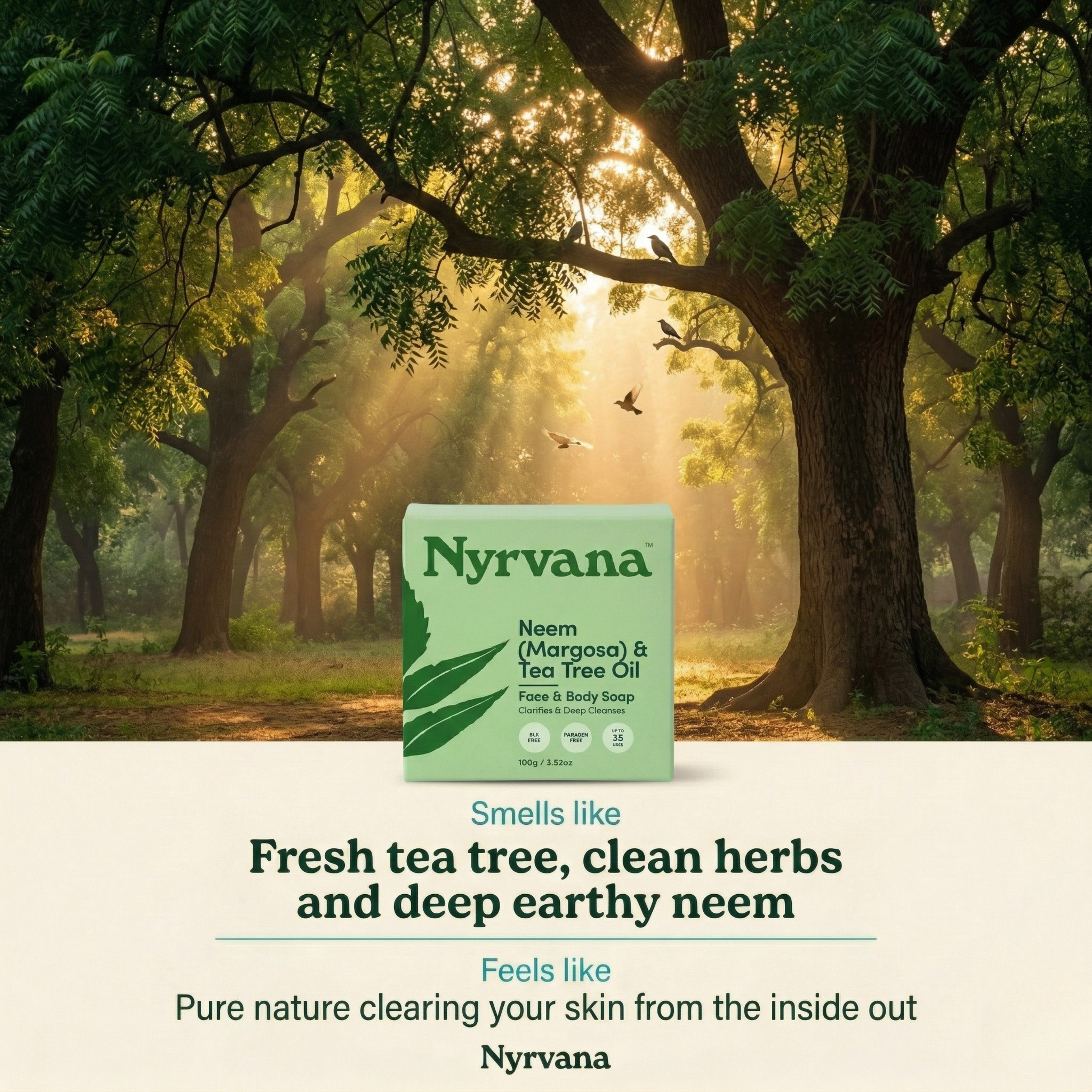 Nyrvana Neem Tea Tree Soap box in sunlit neem tree forest with golden light filtering through green canopy and birds in trees