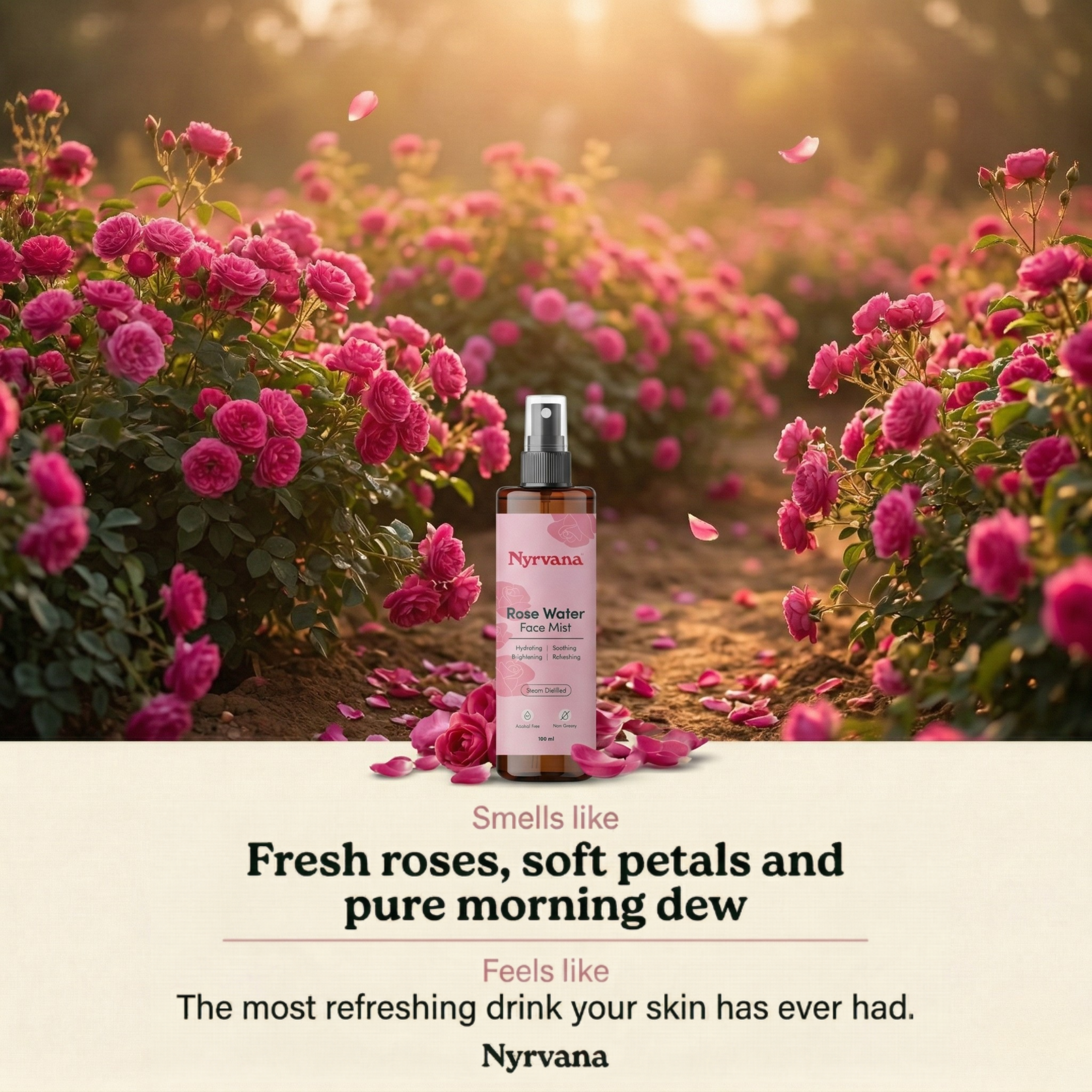 Nyrvana Rose Water Face Mist bottle set in blooming pink rose garden with petals falling and warm golden light